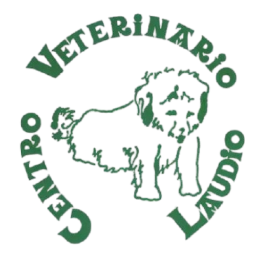 CENTRO_VETERINARIO_LAUDIO-removebg-preview